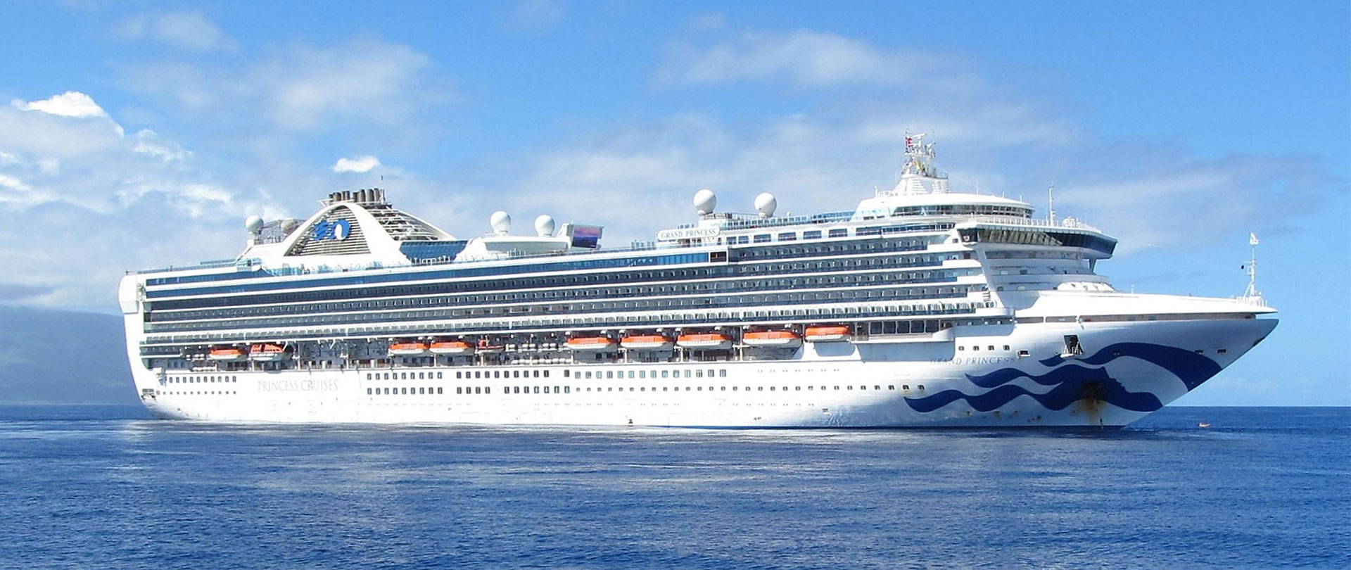 cruise banner
